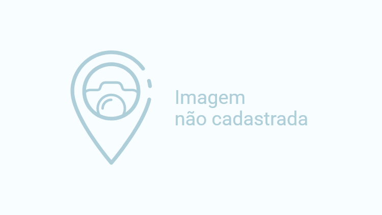 TRANSFER AEROPORTO - MARAGOGI OU JAPARATINGA  (VAN PRIVATIVA)